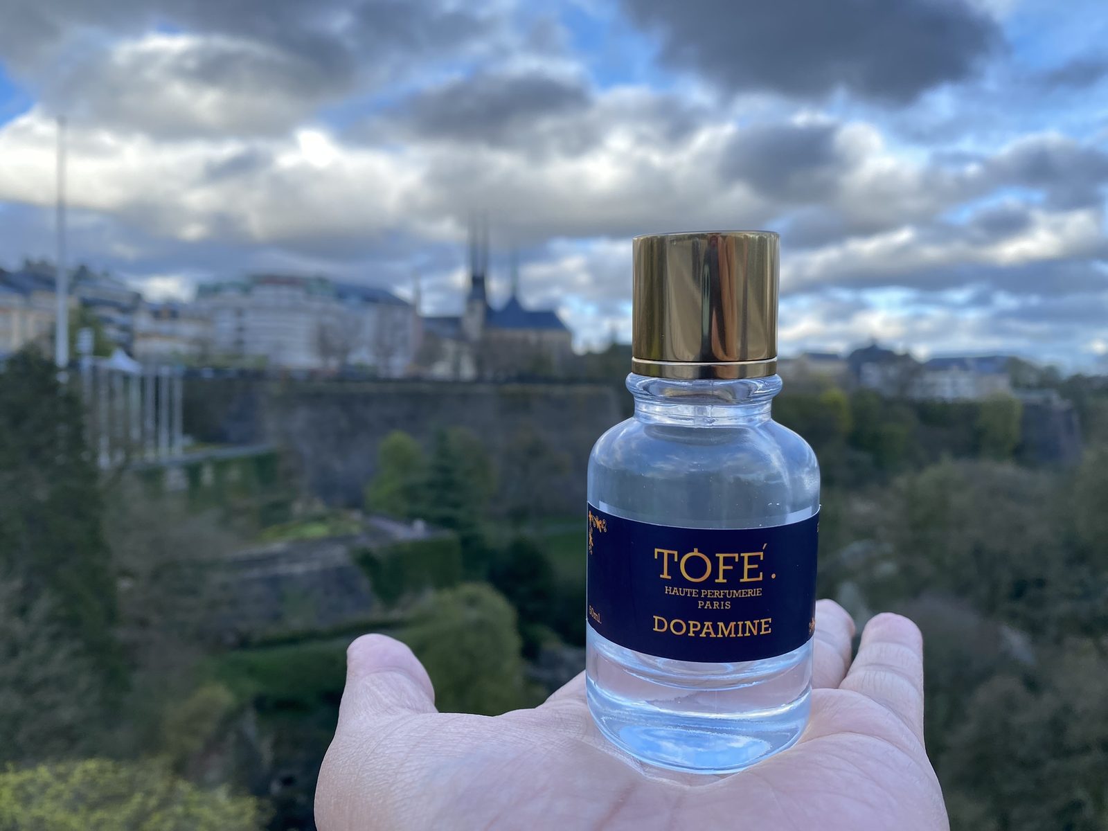 A 50 ml bottle of TOFÉ Dopamine held in an open hand above a city park