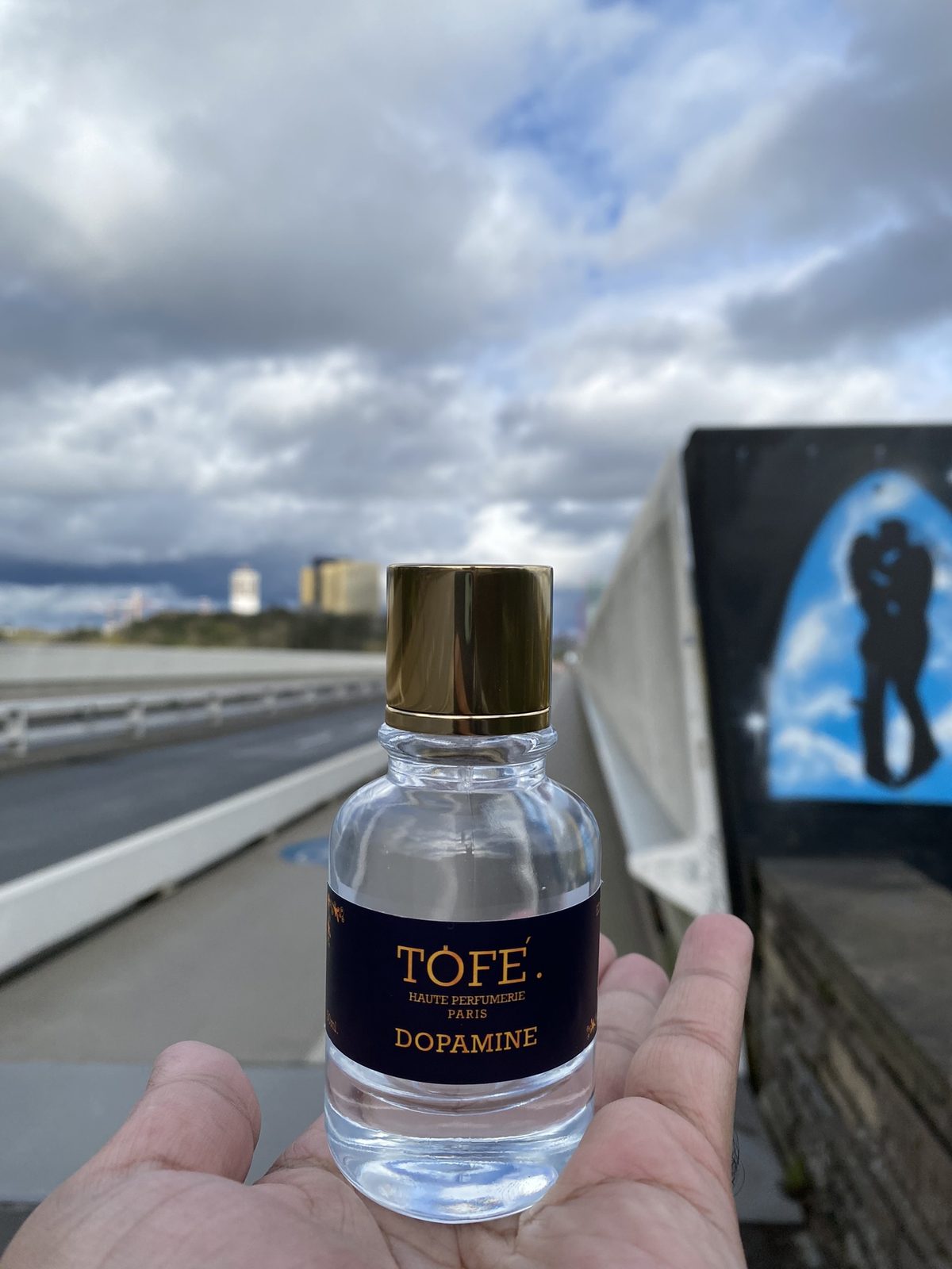 TOFÉ Dopamine bottle held in hand on a bridge under a cloudy sky